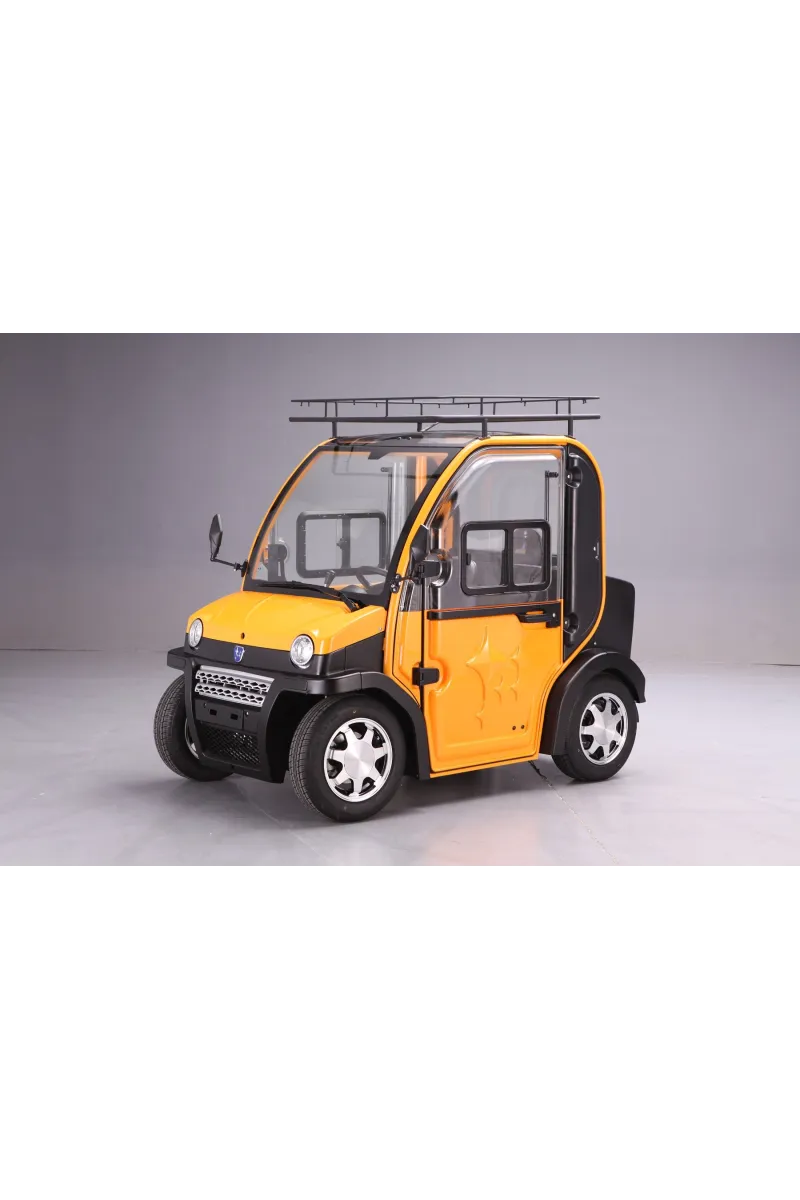 Voiture électrique Sans Permis